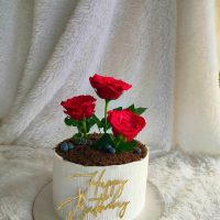 best cakes in ludhiana best icing cakes